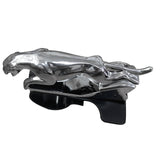 Leopard 360 Degree in Car